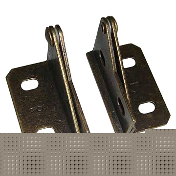 Pivot Hinge