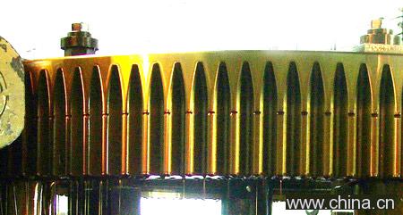 Slewing Bearing