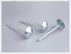 roofing nails
