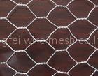 stain steel wire mesh