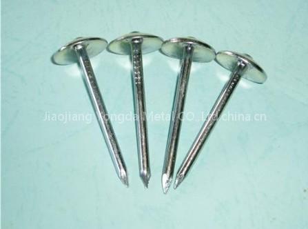 galvanized roofing nail