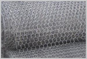 Hexagonal wire mesh