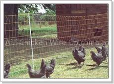 Rabbit Cage