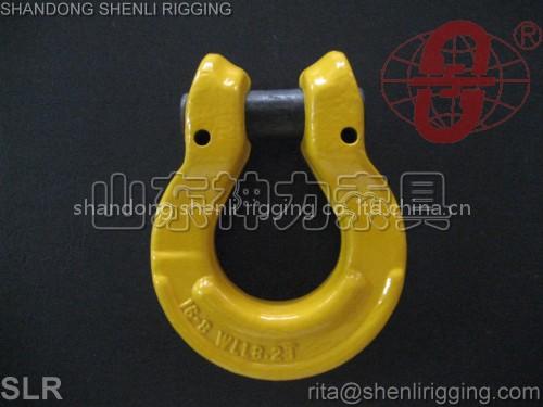 SLR-002 OMEGA LINK