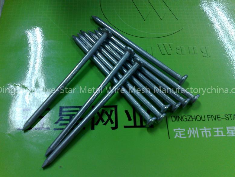 Common Nails