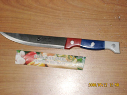 Stainless Steel Knife
