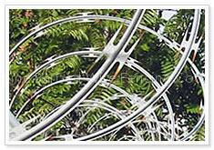 Concertina Wire