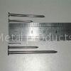 Common nail