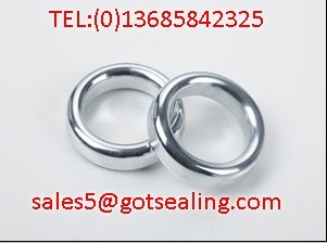 Ring Joint Gasket