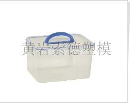 Carrying Case