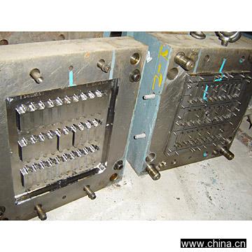 Mold