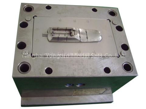 mold