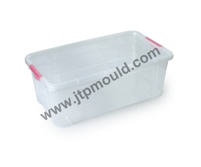 Plastic Storage Box mould