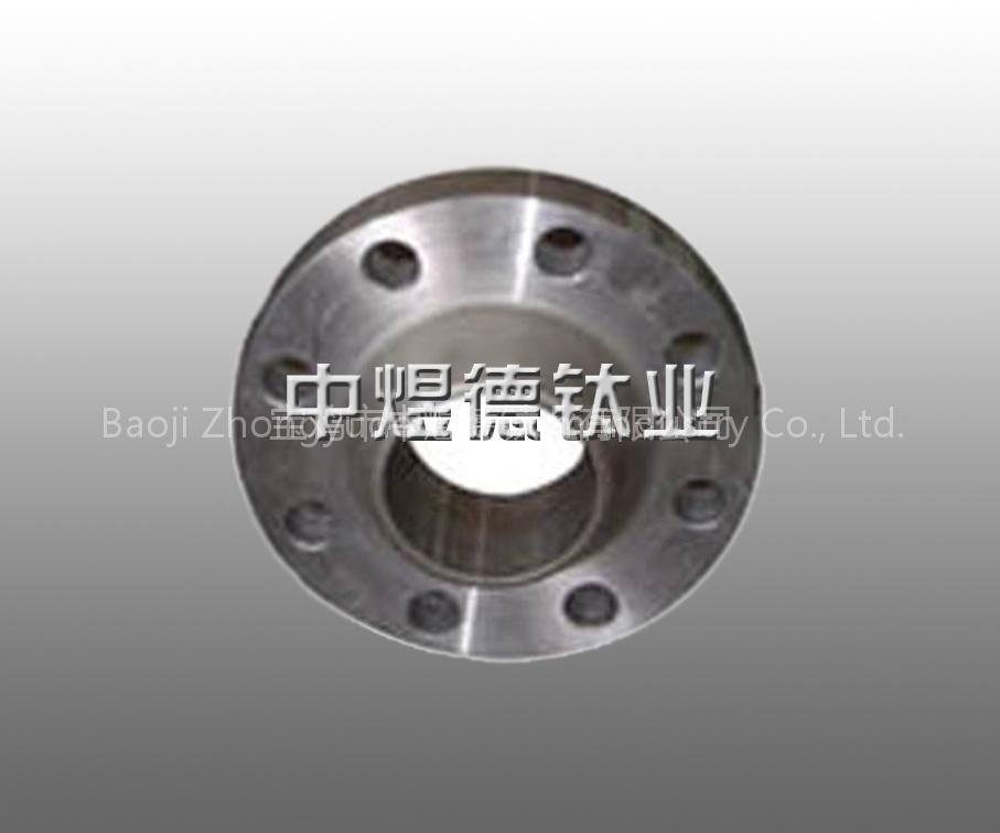 Titanium Flange