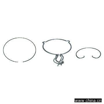 Fulcrum and Diaphragm Spring