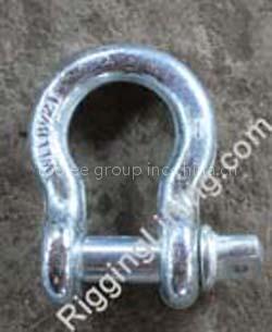 Anchor Shackle,Screw Collar Pin,US SPEC.