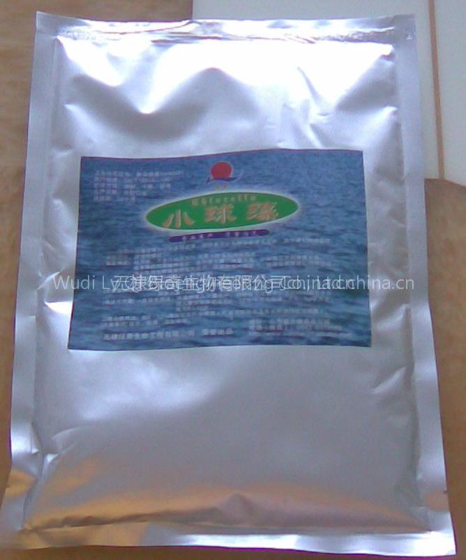 Chlorella