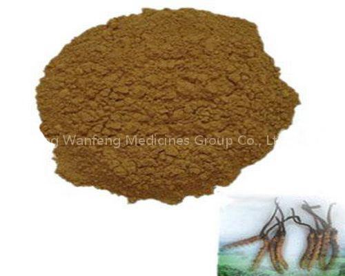 Export Cordyceps Cephalosporium Mycelia