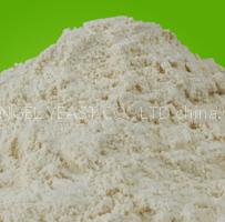 Yeast Y50