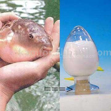 Tetrodotoxin (TTX)