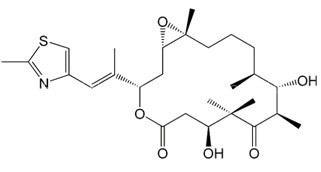 Epothilone B