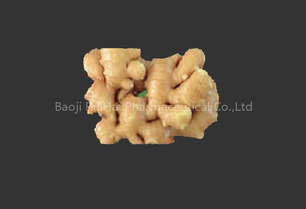 Ginger Extract