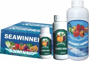 Seaweed Amino