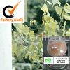 Bozi Ren Extract