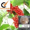 Schisandra Extract