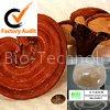 Ganoderma lucidum extract