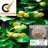 Ginkgo Flavonoids