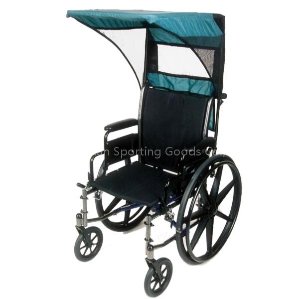 Wheelchair with Canopy