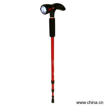 Multifunctional Cane