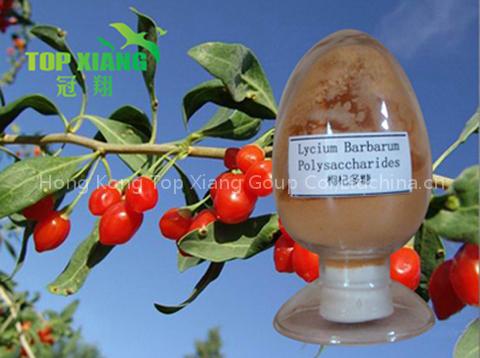 Medlar P.E.