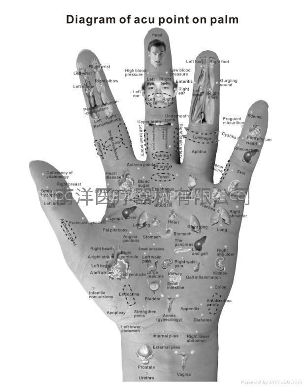 Diagnoses Therapy (SR-900B)