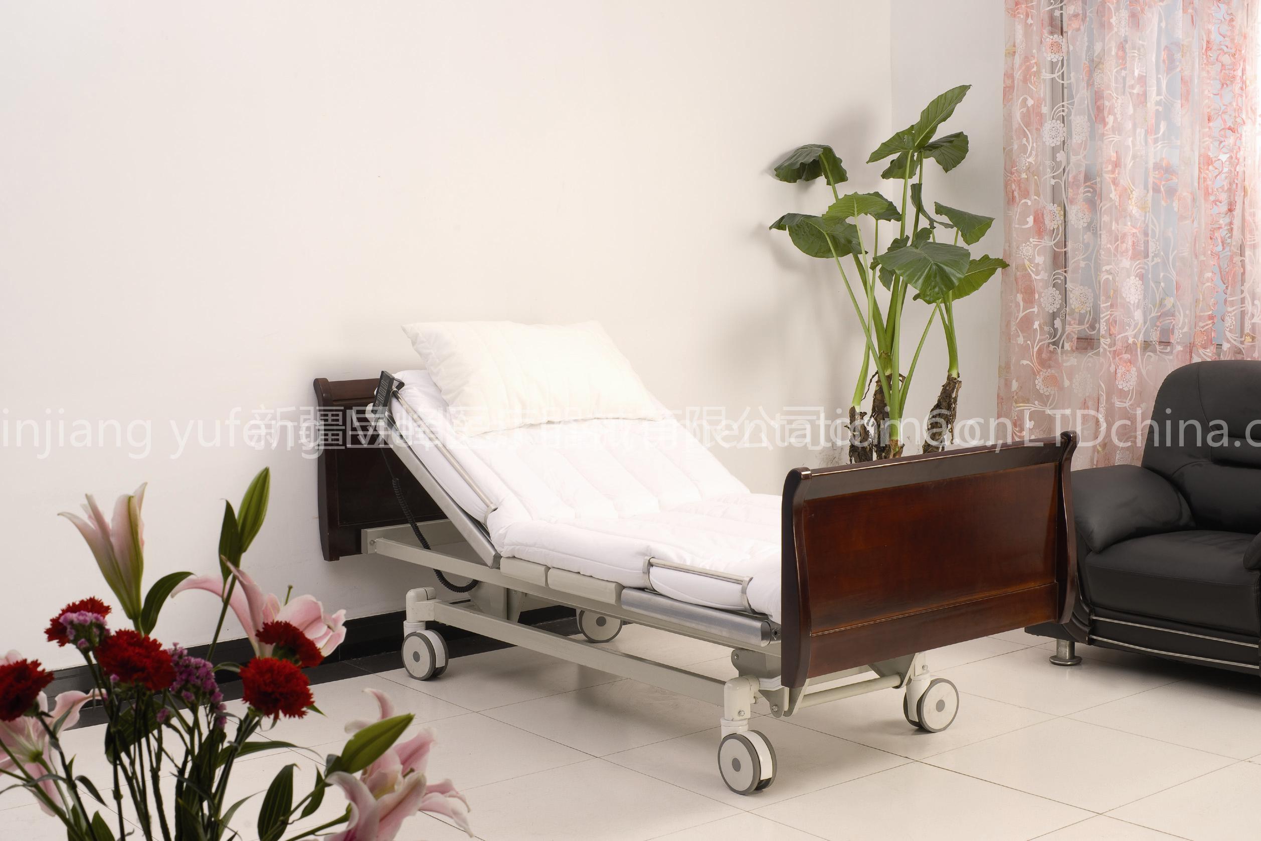 Electric Family Nursing Bed