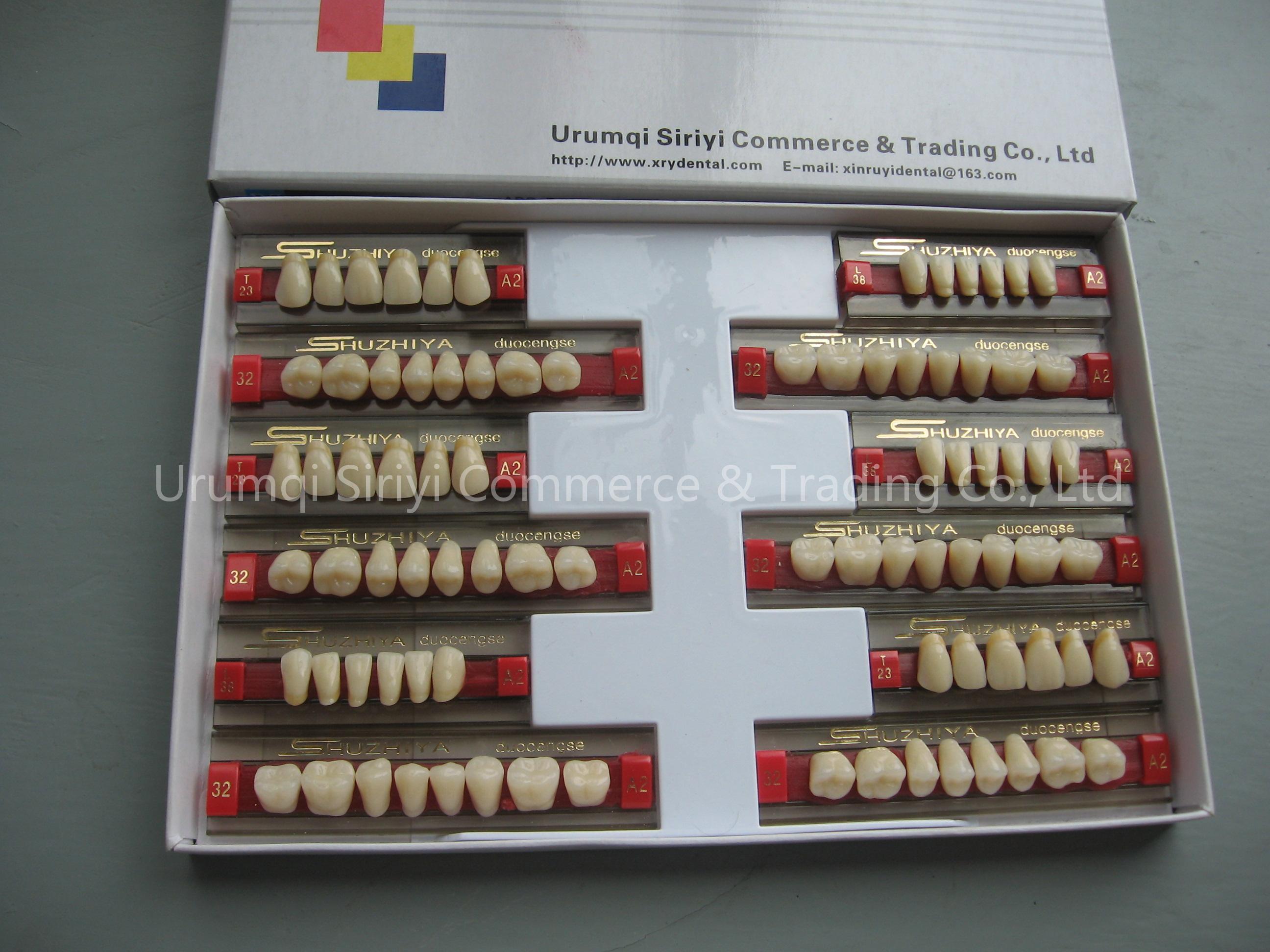 Synthetic Acrylic Resin Teeth