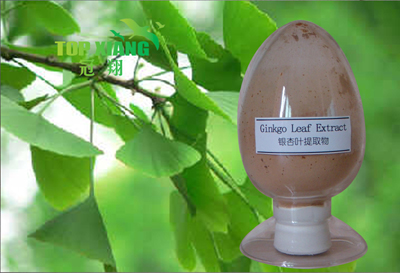 Ginkgo Biloba extract
