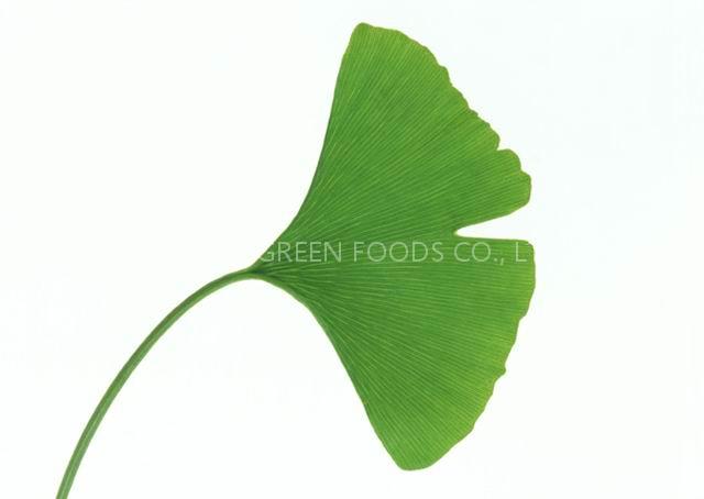 Ginkgo biloba Extract