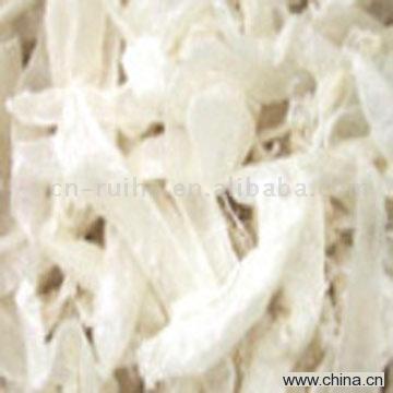 Chitin, Chitosan, Glucosamine and Chondroitin