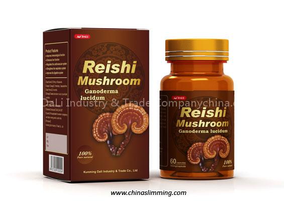 Reishi Mushroom Ganoderma lucidum