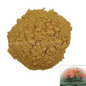 Export Reishi Polysaccharide