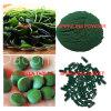 chlorella & spirulina