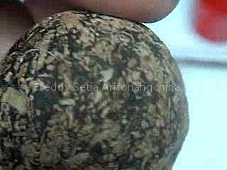 porcupine stone