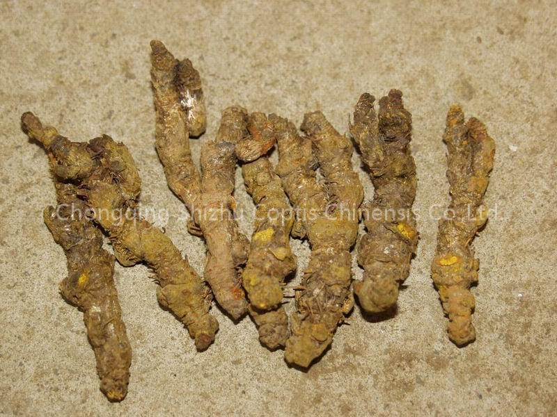 Chinese herb