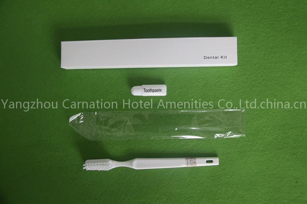 hotel toothbrush/toothbrush/toothpaste