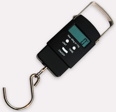 Portable / luggage scale