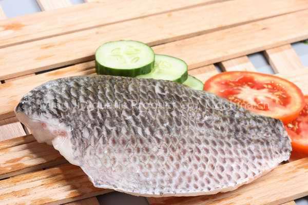 frozen tilapia fillet