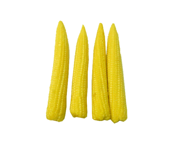 Thailand Baby Corn