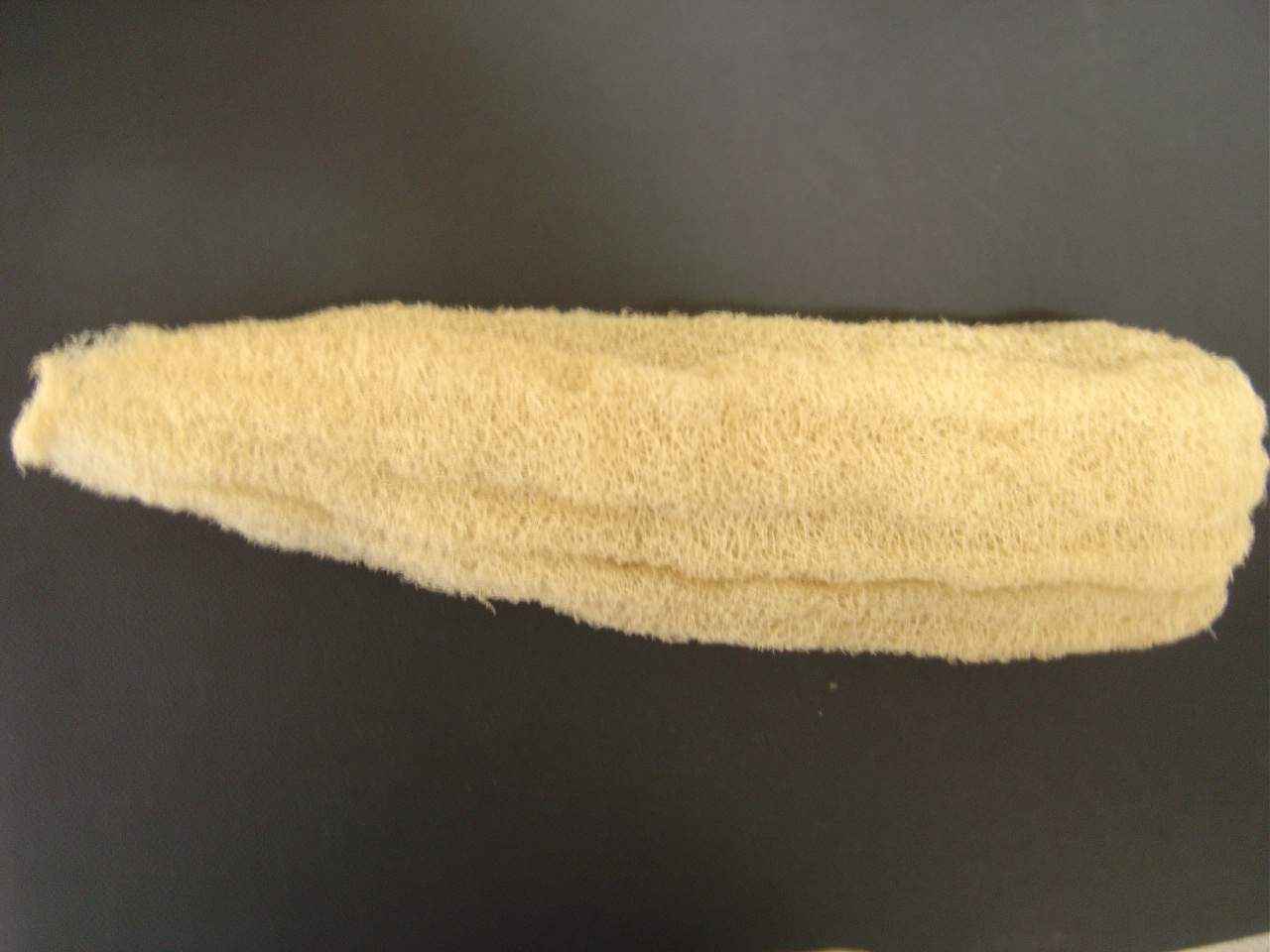 United States Loofah